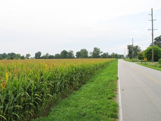 Property photo 4 - 229 +/- Acres Offered in 2 Tracts - Land Auction